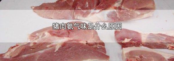 猪肉氨气味是什么原因