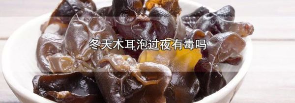 冬天木耳泡过夜有毒吗