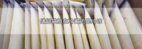储奶袋放在冷藏还是冷冻