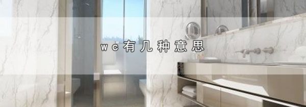 wc有几种意思