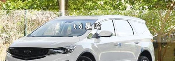 td是啥
