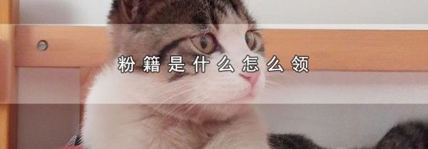 粉籍是什么怎么领