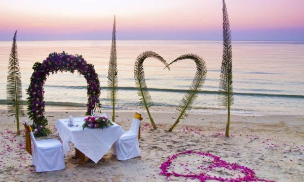 粉籍是什么怎么领