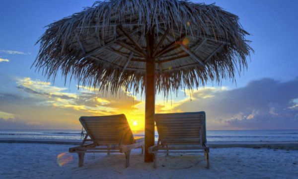 粉籍是什么怎么领