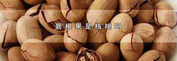 碧根果是核桃吗