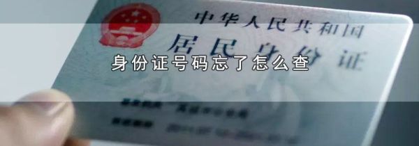 身份证号码忘了怎么查