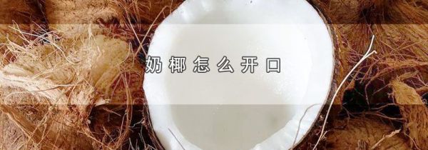 奶椰怎么开口
