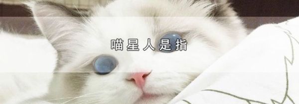 喵星人是指