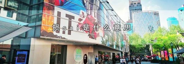 损sai是什么意思