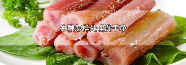 牛鞭怎样处理洗干净