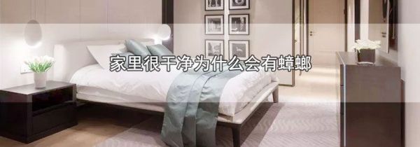 家里很干净为什么会有蟑螂