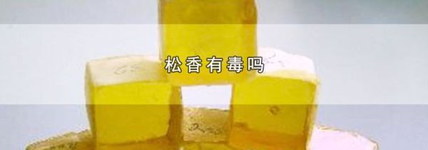 松香有毒吗
