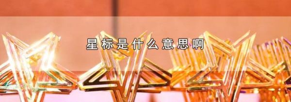 星标是什么意思啊