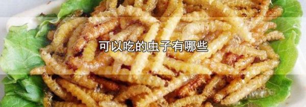 可以吃的虫子有哪些