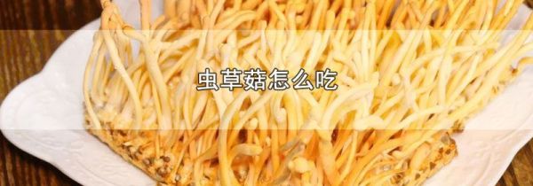 虫草菇怎么吃