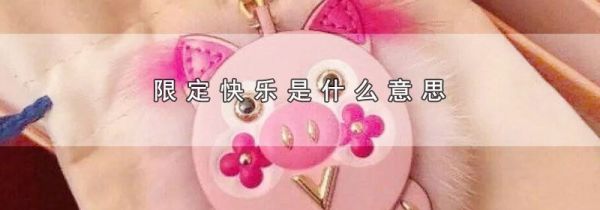 限定快乐是什么意思