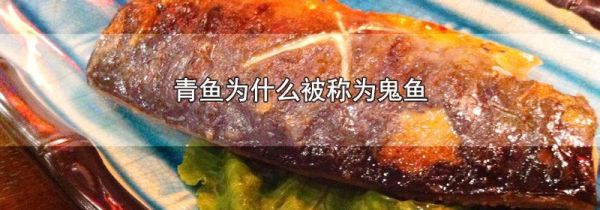 青鱼为什么被称为鬼鱼