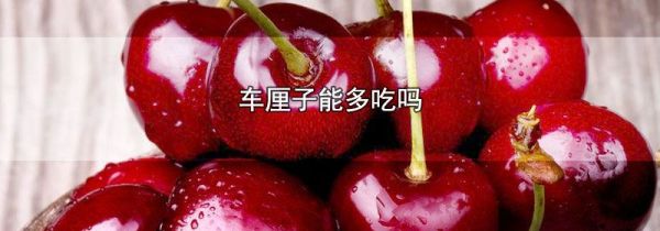 车厘子能多吃吗
