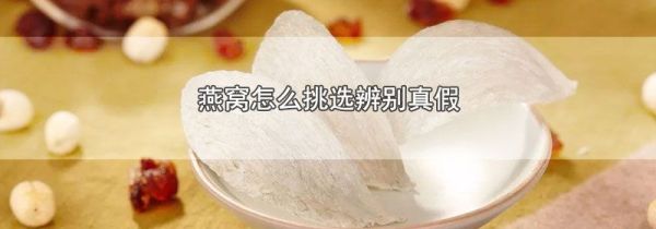 燕窝怎么挑选辨别真假