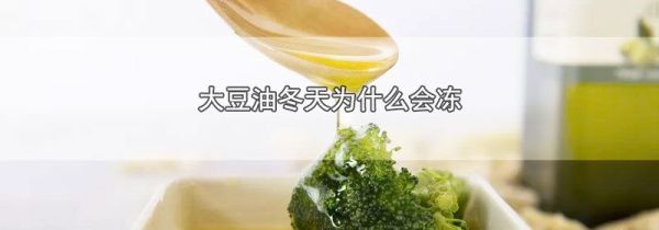 大豆油冬天为什么会冻