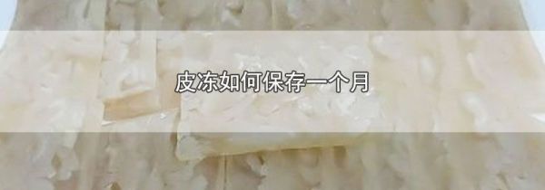皮冻如何保存一个月