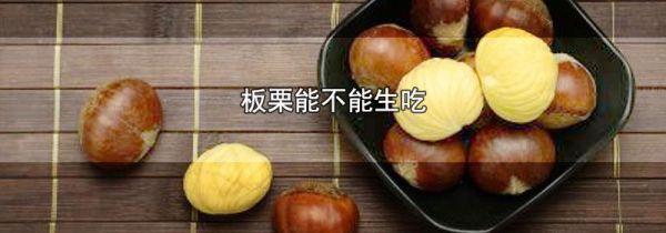 板栗能不能生吃