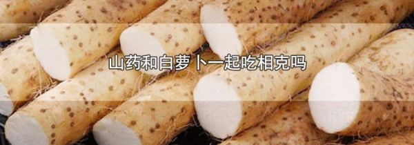 山药和白萝卜一起吃相克吗