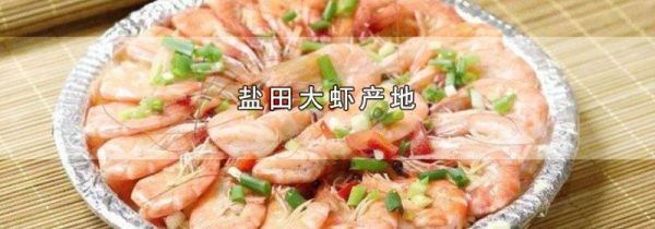 盐田大虾产地