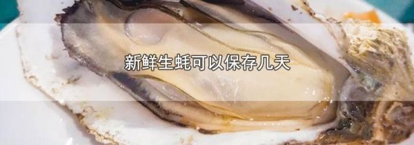 新鲜生蚝可以保存几天