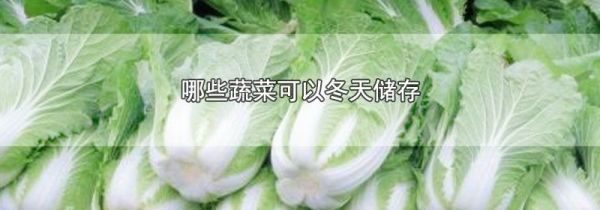 哪些蔬菜可以冬天储存