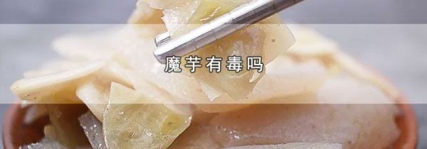 魔芋有毒吗