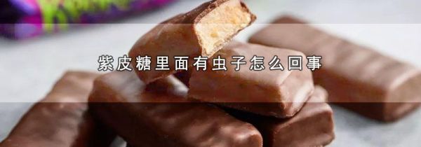 紫皮糖里面有虫子怎么回事