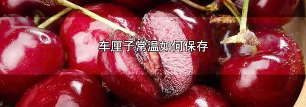 车厘子常温如何保存