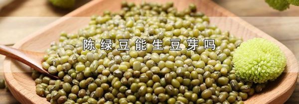 陈绿豆能生豆芽吗