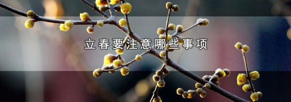 立春要注意哪些事项