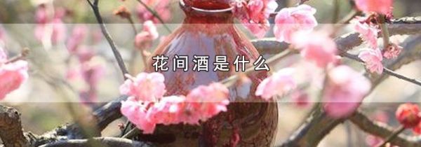 花间酒是什么