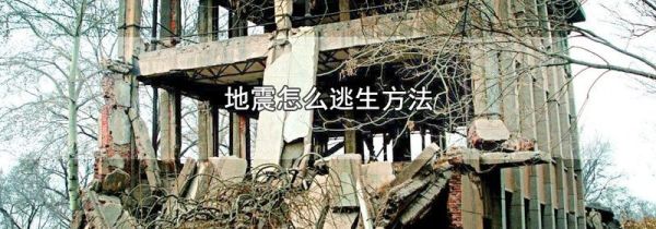 地震怎么逃生方法