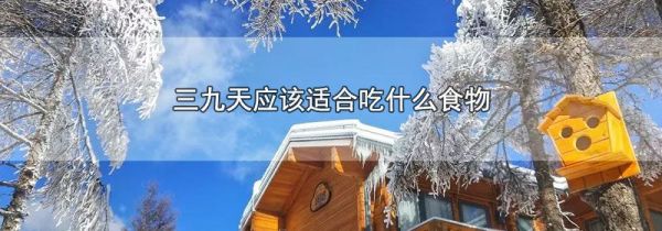三九天适合吃什么食物