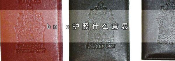 bn o护照是什么意思