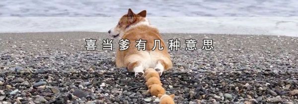 喜当爹有几种意思