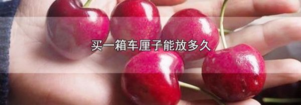 买一箱车厘子能放多久