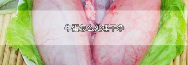 牛蛋怎么处理干净