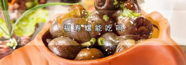福寿螺能吃吗