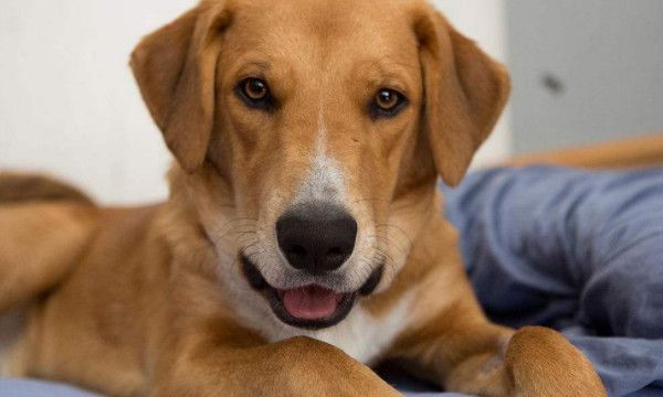 喜当爹有几种意思