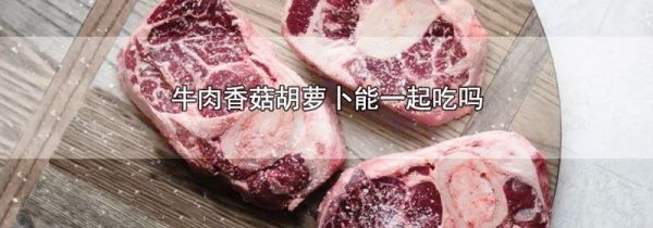 牛肉香菇胡萝卜能一起吃吗