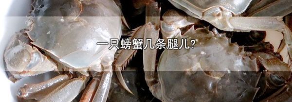 一只螃蟹几条腿儿?