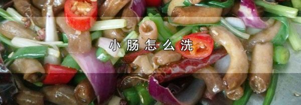 小肠怎么洗