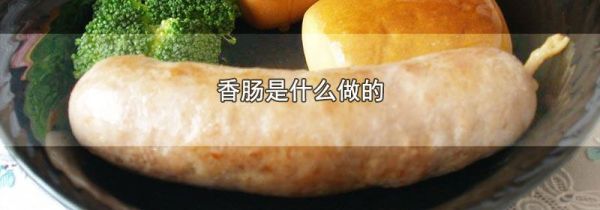香肠是什么做的