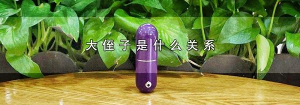 大侄子是什么关系