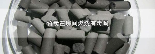 竹炭在房间燃烧有毒吗